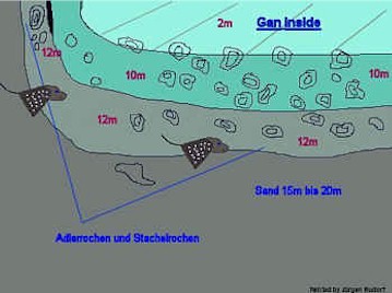 Gan Inside